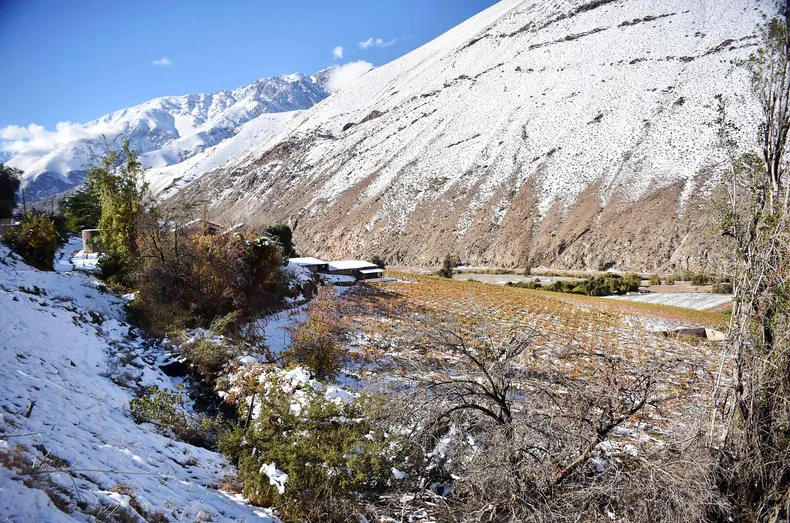 17877 elqui.webp