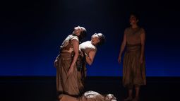 Montaje Fueguinas. Montaje Fueguinas.