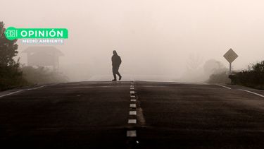 El Desconcierto | 1178 zonas extremas.jpg
