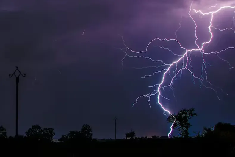 16261 diseno sin titulo 2025 05 24t172316.webp