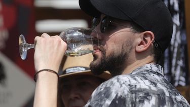 Repunta exportación del vino chileno por brasileños que desplazaron a chinos en consumo