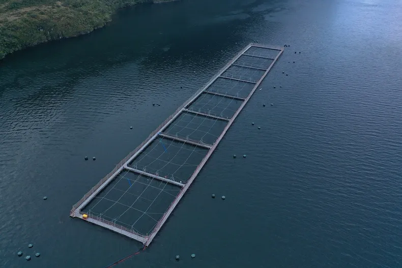 26391 casado daniel rewilding 86.webp