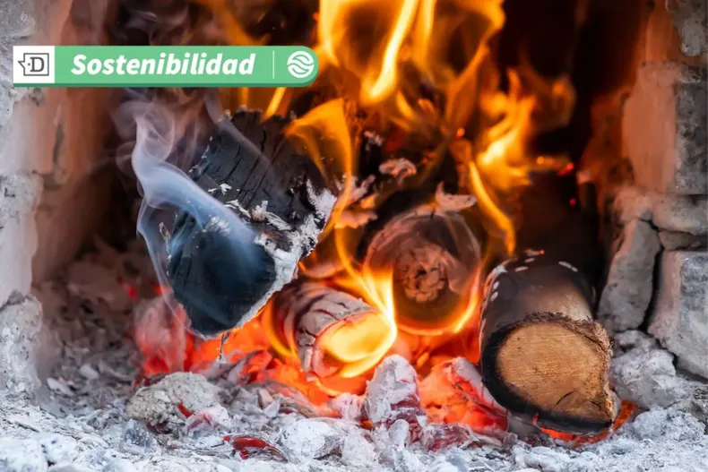 17954 diseno sin titulo 2025 06 24t103611.webp