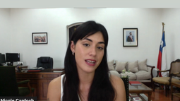 VIDEO| Subsecretaria Cardoch por incendios: Lo que no podemos hacer es tratar de normalizar esta situación