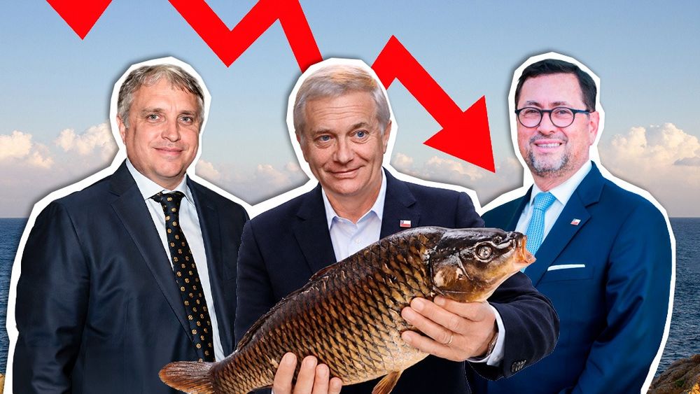 La fallida estrategia salmonera para evitar arancel presionando a Washington con abastecimiento alimentario
