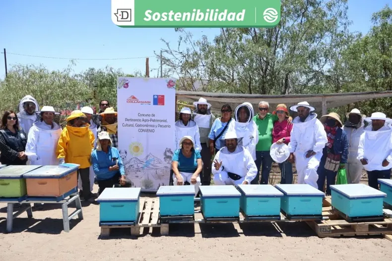 27866 diseno sin titulo 2025 12 24t123730.webp