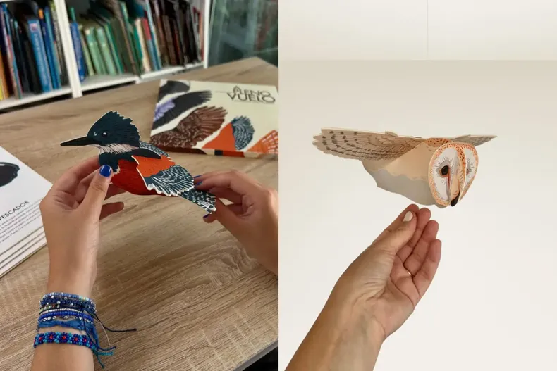 11905 diseno sin titulo 2025 02 21t163259.webp