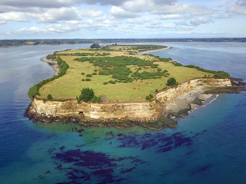 2590_5cdaf626badc6.jpg 1360 1100.jpg