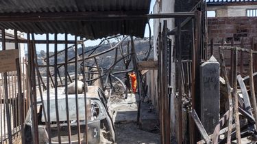 El Desconcierto | Incendio Imagen referencial incendios en la Region de Valparaiso Agencia Uno.jpg