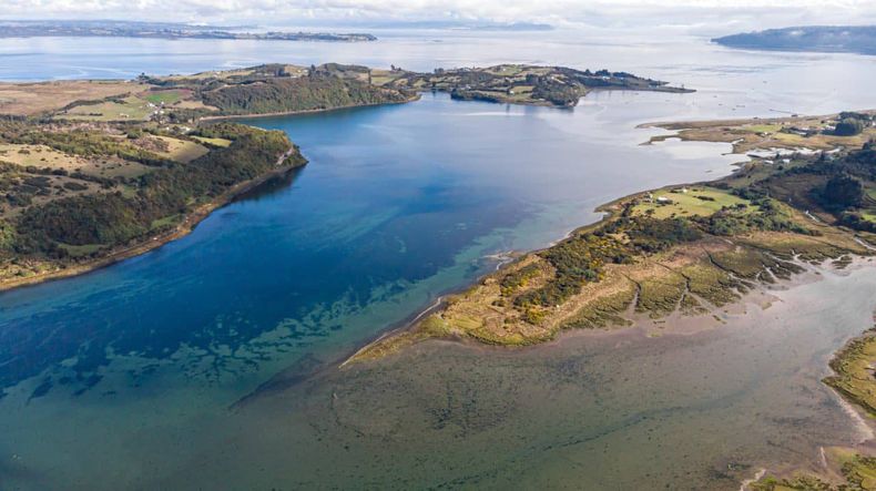 Chiloe humedales_.jpeg