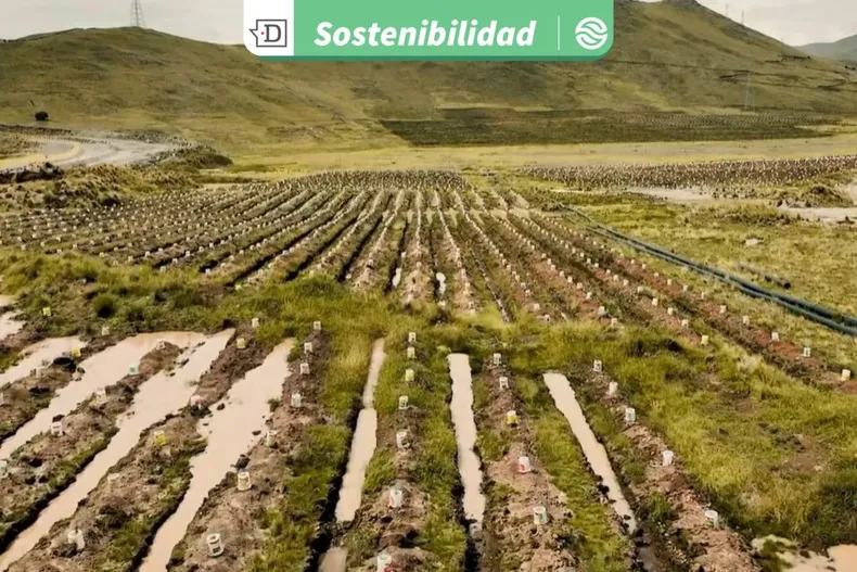 21963 diseno sin titulo 2025 09 03t162643.webp