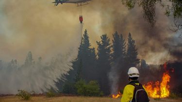 Portugal envía a Chile a 144 efectivos para combatir ola de incendios en zona centro-sur