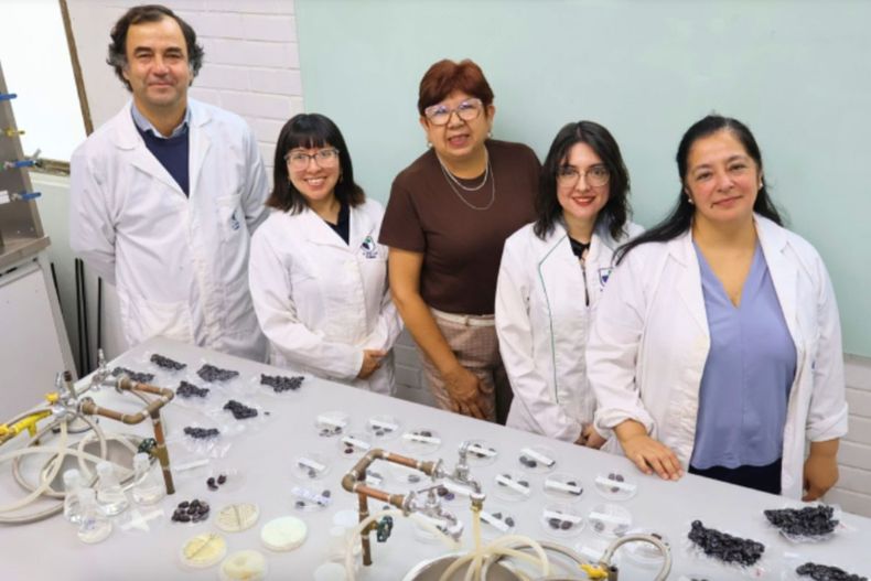 Diseño sin título - 2026-04-08T154330.710