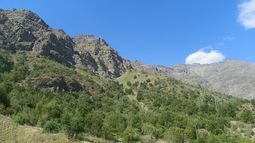 Levantan en precordillera de Las Condes sendero educativo para aprender del bosque nativo