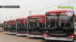 Con nexos en Panamá y controlada por dueños de Alsacia: La red de Cityplanning, empresa en la lupa de Contraloría por pagos sin respaldo