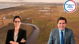 Ministra del Medio Ambiente, Francisca Toledo, y ex vocero ambiental de Kast, Ricardo Irarrázaval&nbsp;