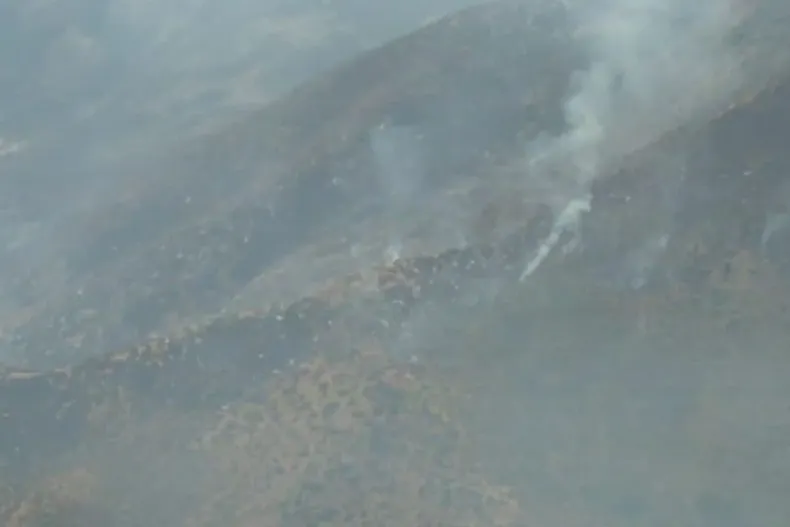 28157 diseno sin titulo 76.webp