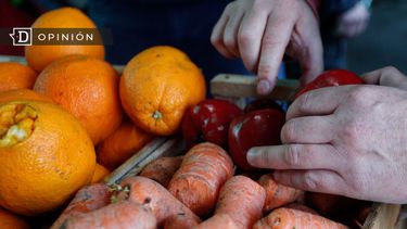 El Desconcierto | 5129 imagen de verduras en una caja siendo revisadas por unas man.jpg