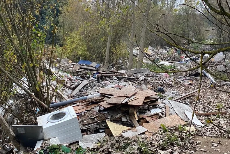 30157 humedal hualpen.webp