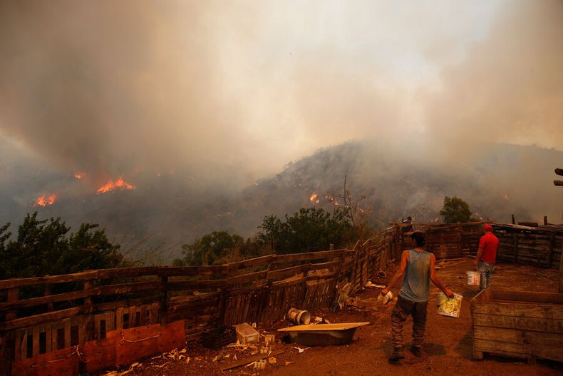 QUIPUE Incendio Forestal.jpg