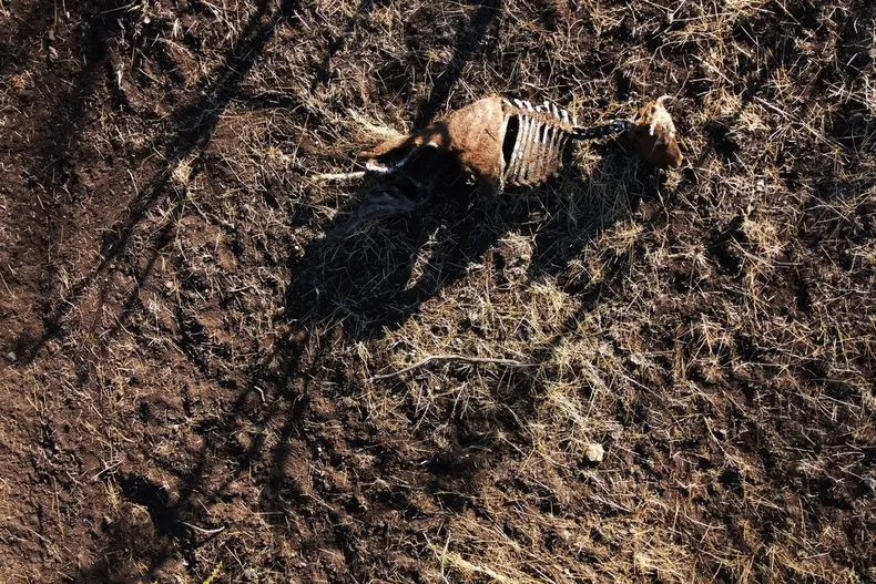 14647 sobregiro ecologico.webp