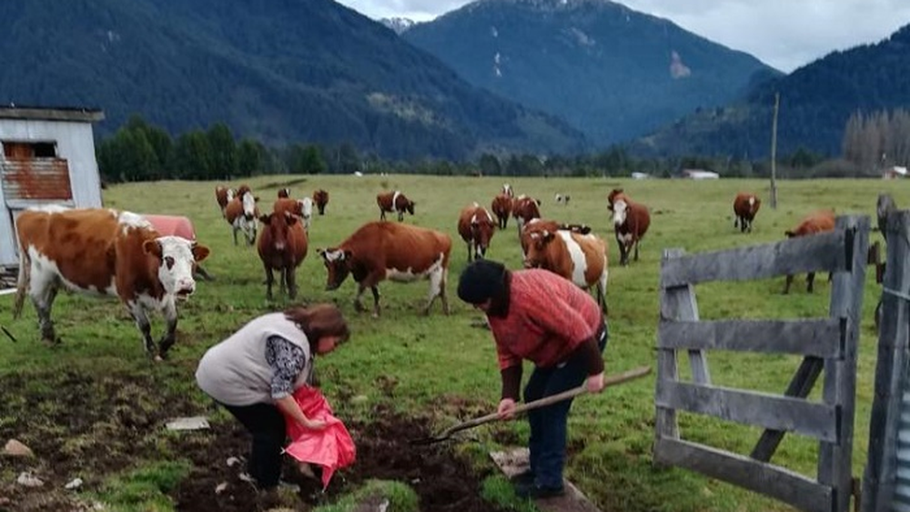 Gobierno proyecta fin de Programa Mujeres Rurales. Créditos: INDAP.&nbsp;