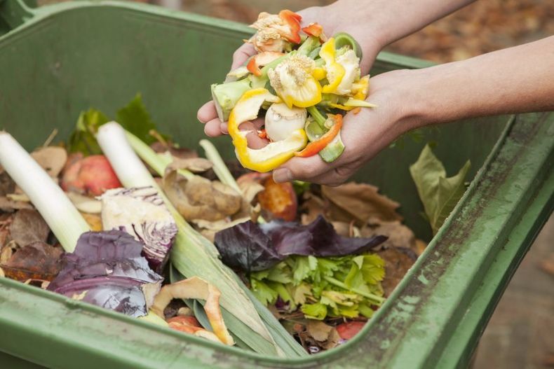 compost e1689261687214.jpg