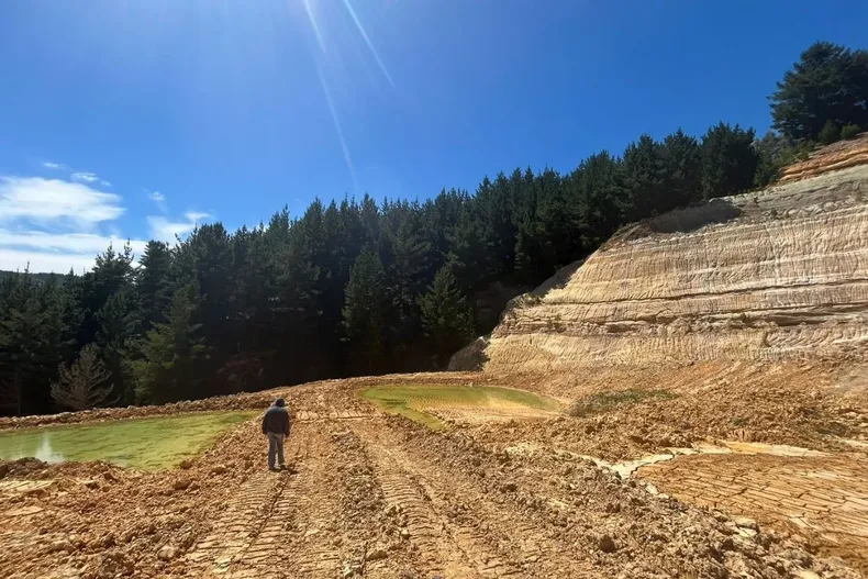 nos estan matando en vida el calvario de agricultora de chanco que enfrenta a minera y denuncia pago irregular al tribunal.webp