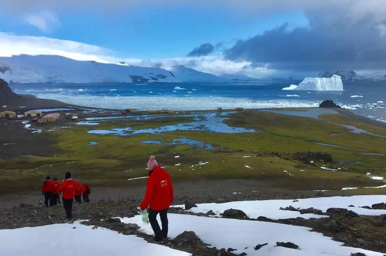 27984 antartica.webp