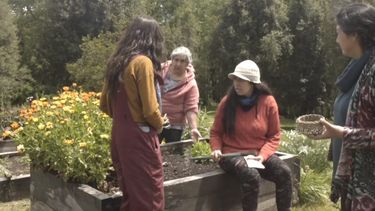 Ofrecen financiamiento a proyectos que solucionen dilemas ambientales de forma comunitaria