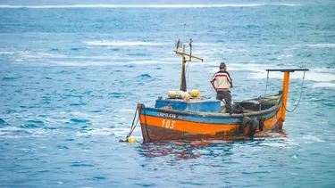 Pesca artesanal pide a Kast licencias públicas en cuotas para recuperar la legitimidad de las reglas de recursos marinos