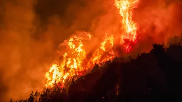 El Desconcierto | 28625 incendios argentina.webp