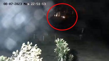 VIDEO| Revelan posible origen del mega incendio en Hawaii que ya ha cobrado 110 víctimas