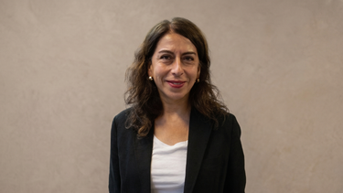 María Ines Silva, investigadora política cultural.