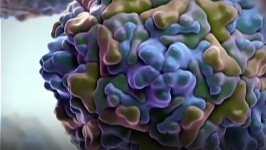 La OPS anima a vacunarse contra la polio tras su reaparición en América