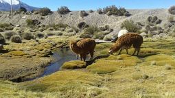 Con participación ciudadana se actualizará el Plan de Adaptación al Cambio Climático
