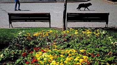 Regresó la primavera: Sol, calor y buenas temperaturas para este miércoles 4 de octubre