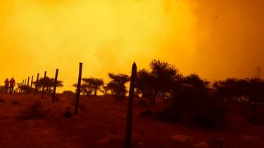 Científicos dieron la peor noticia del mundo: El cambio climático ya es “irreversible”