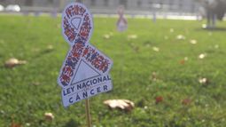 Cáncer y alteraciones en la fertilidad, una realidad invisibilizada en Chile