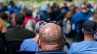 El Desconcierto | the balding gaef0c691a_1280.jpg
