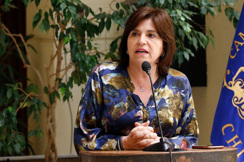 ana lya uriarte fue clave en defensa de vecinos contra millonario proyecto portezuelo.jpg