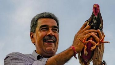 Exconcejal de Maracaibo: Maduro no tiene ninguna legitimidad, está en el poder por arbitrariedad