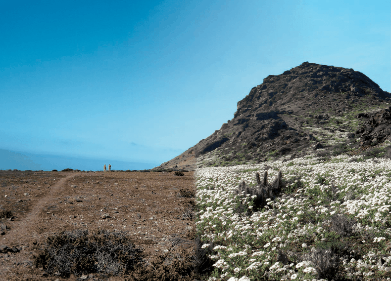 Isla de Choros antes y despu&eacute;s de la restauraci&oacute;n.&nbsp;