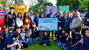 Ley de Alimentación Escolar: El proyecto para frenar deserción de niños vulnerables
