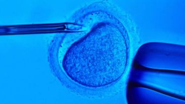 Clínica confunde esperma y mujer queda embarazada de gemelos por un hombre desconocido