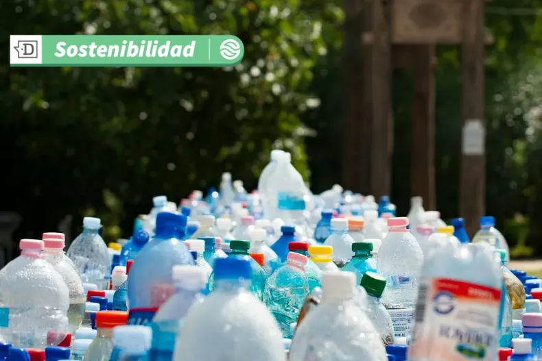 16124 diseno sin titulo 2025 05 22t131216.webp