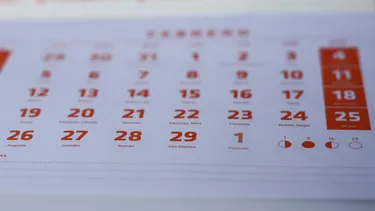 Bienvenido año 2026: Revisa el calendario de feriados y fines de semana largo que se vienen