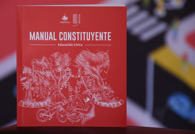 Manual Constituyente.jpg