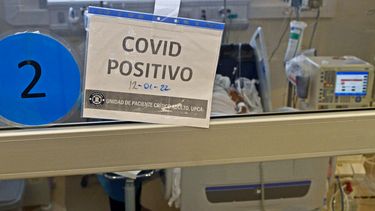 Alarma por rápido aumento de casos COVID-19 en Chile: Se teme sea variante “Pirola”