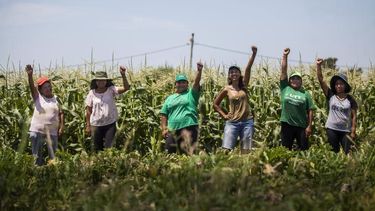 El Desconcierto | Mujeres Modatima.jpg